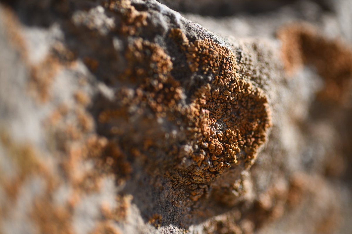 گل سنگ داره تاریخ رو تجزیه میکنه به داد ایران برسید
<a href="/drpezeshkian/">Masoud Pezeshkian</a> 
<a href="/JZarif/">Javad Zarif</a>