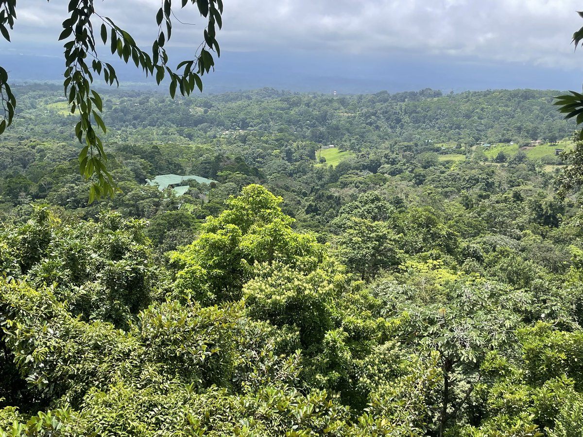 This is <a href="/msolorzanokrae1/">Mónica M. Solórzano Kraemer</a> and me just before we went up the #Canopy tower. 

Both of us have been wanting to do this for years and I think you can see the excitement on our faces - what an opportunity at #FlySchool24 #forests 

<a href="/dipteracourse/">Fly School</a> #Sampling #Diptera