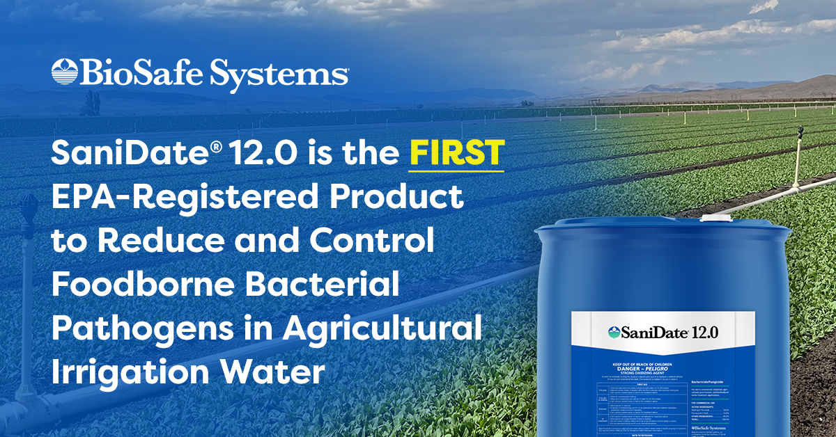 BioSafe_Systems's tweet image. Groundbreaking news: biosafesystems.com/news/sanidate1…

#BioSafeSystems #IrrigationWater #FoodSafety