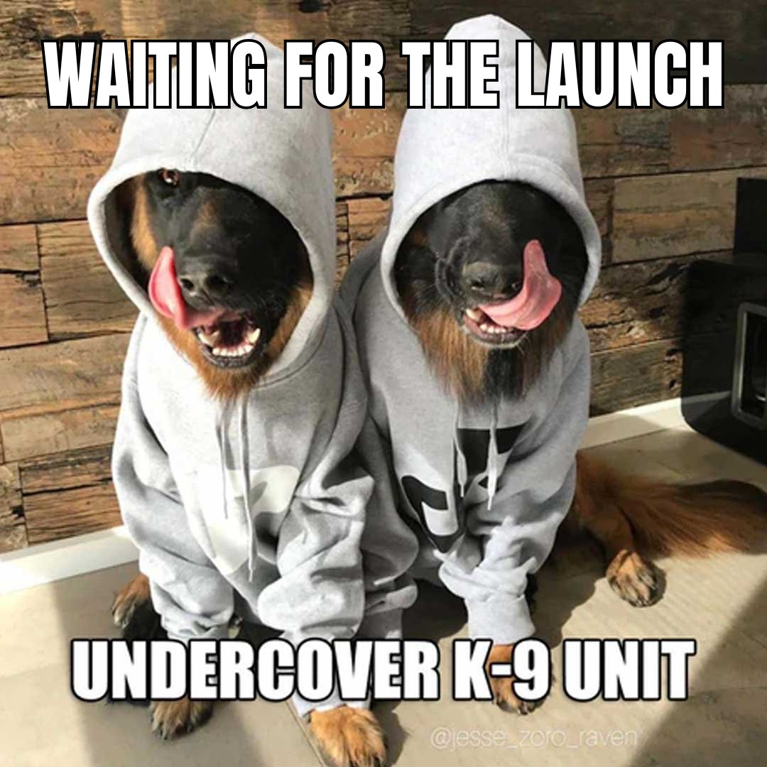 Pawlicetoken's tweet photo. The Launch is soon! we have done 70% of the Job! Get ready for the ride that will mark the 2024 Bull run for history to come.

#doge #ShibaToken #SHIBARMY #PEPE #memecoin #memecoin1000x #ShibaToken #memecoins #CharityJobs #ecommerce #knine #Airdrop #ClothingBrand #FLOKI #Raydium #PinkSale #pumpfun #legitproject #summer #Crypto #cryptomarket #cryptocurrency #MEMETOKEN #meme