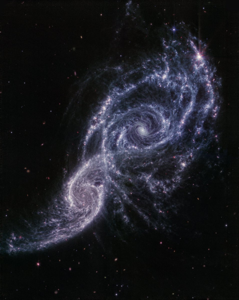 Interacting galaxies, viewed from the mirrors of JWST's MIRI.
Processed by Go Webb.
flickr.com/photos/1964397…