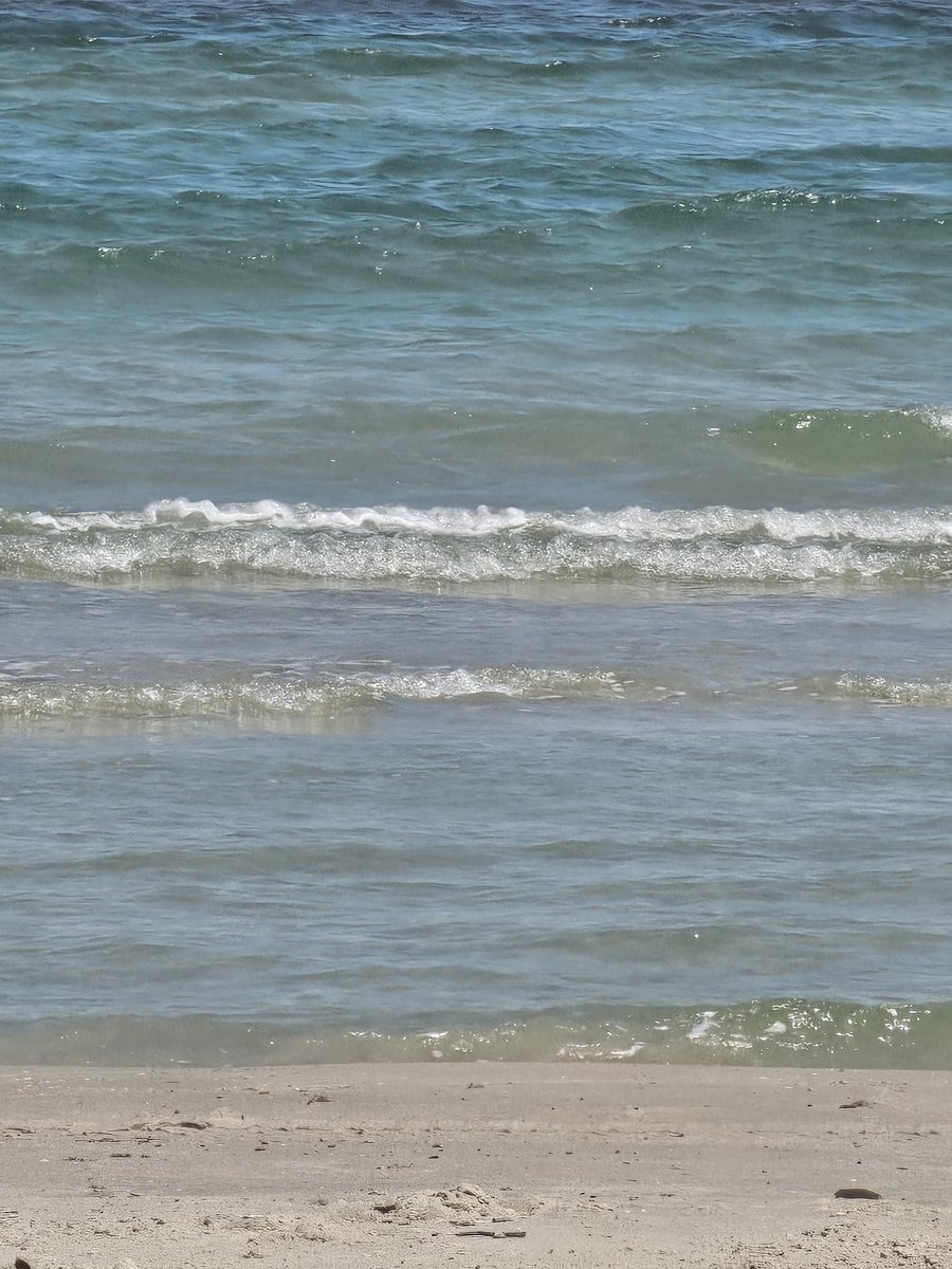 flyguy70's tweet photo. Malaquite beach cc, tx https://t.co/jBODOCAMk0