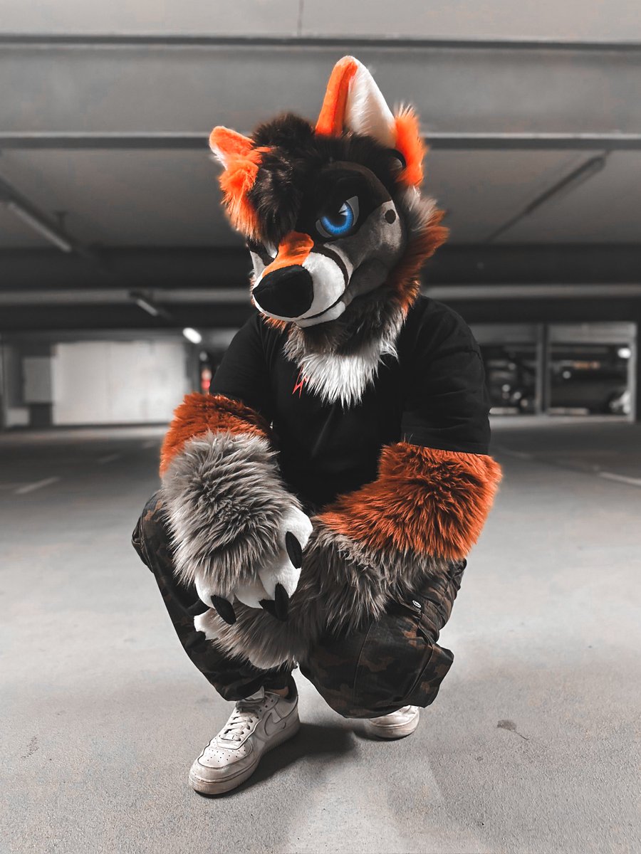 You found a Wolf, what are you doing?🐺

📷: <a href="/Caleo_Skulldog/">Caleo</a> 
#FursuitEveryday