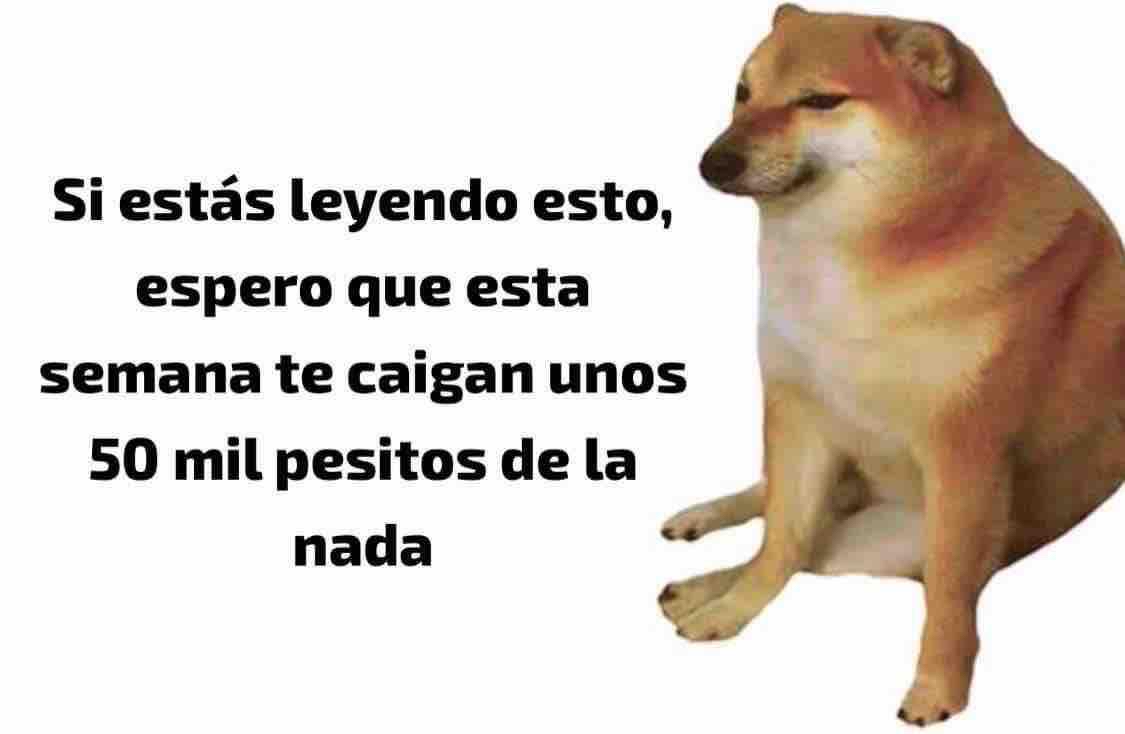 Guarromantico_'s tweet photo. Amén 🙏🏼 https://t.co/Ry43AiUezZ