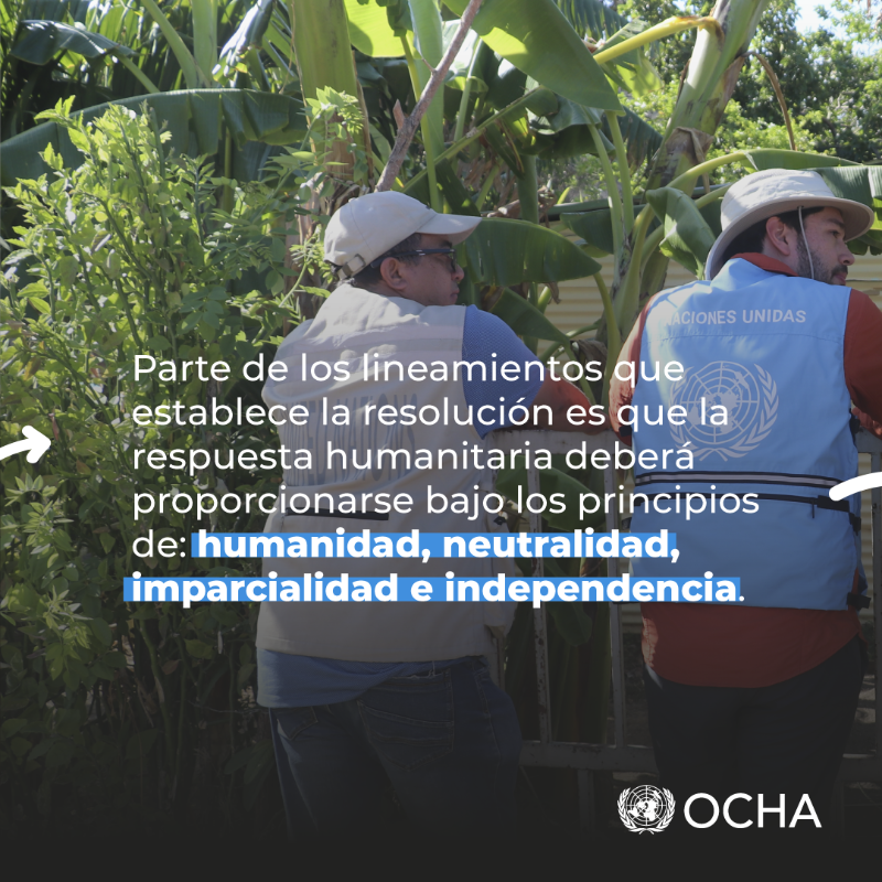 OCHA_Venezuela's tweet photo. #Sabíasque el trabajo de la comunidad humanitaria está guiado por la resolución 46/182 de la Asamblea General de la ONU.
 
Entre otras cosas, establece los principios de:

▶Humanidad
▶Neutralidad
▶Imparcialidad
▶Independencia

Conoce ➕, aquí ⬇