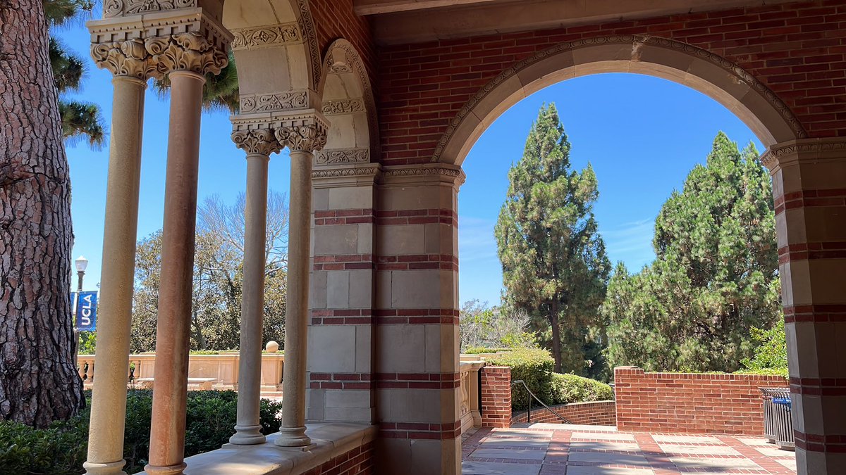 Dr. Basil Arnould Price tweet media