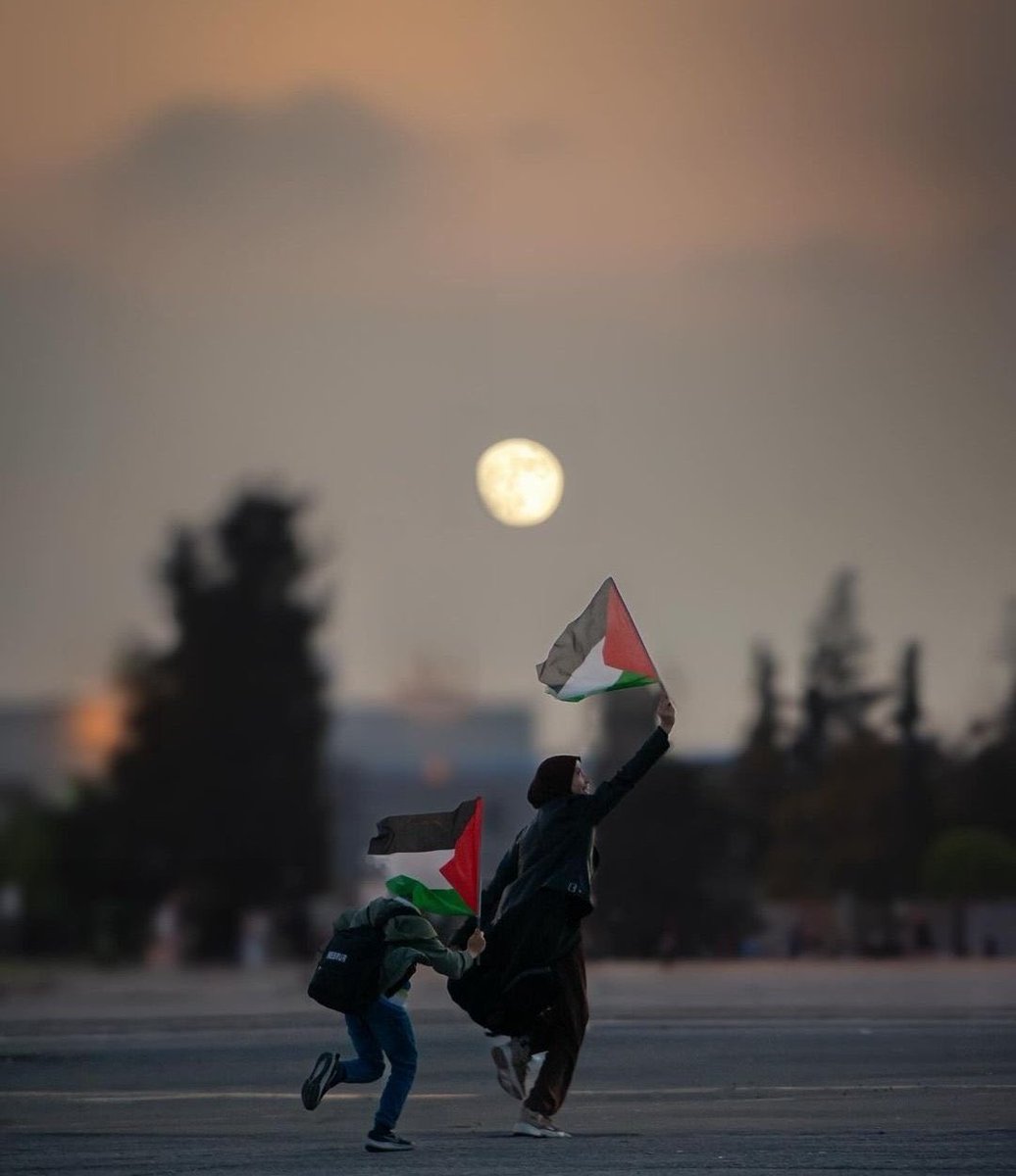 semaalsak's tweet photo. Bir sabah gelecek kardan aydınlık 🇵🇸🇵🇸🇵🇸 https://t.co/gdTppaviD4