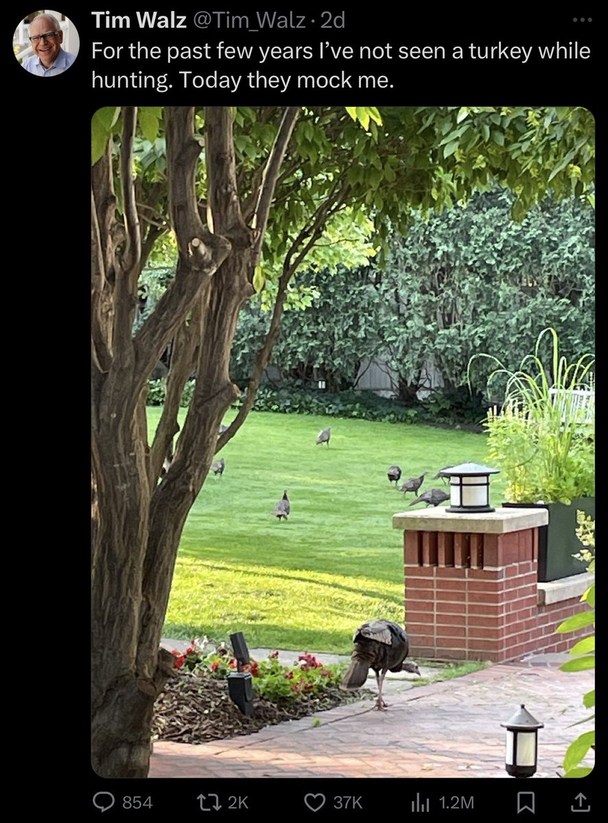 Shapiro: Look, I’m not that bad for public education(350 likes)

Walz: Look at this Turkey(37k likes)