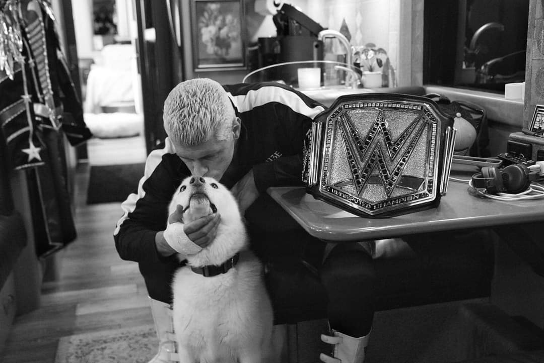 RelentlessCody's tweet photo. This one was for Pharaoh https://t.co/NbtuyxDj7q