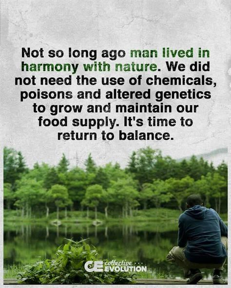 AnnaKavanaugh's tweet image. We must embrace #Indigenous peoples around the world as guides and inclusive voices in #ClimateCrisis action if we are to restore our planet. It has been a catastrophic mistake to silence and overpower their ancestral wisdom in understanding environmental harmony. #Environment 🌎