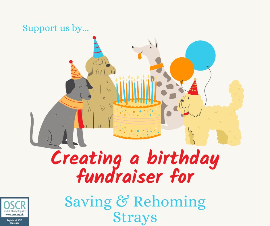 SavingRStrays's tweet photo. Do you have a birthday this month?🎂
You can also raise funds for us at the same time🤩
Please do a Facebook fundraiser or donate to help us- help the dogs in our care.
B-day fundraisers are a great way for the charity to raise much needed funds but we dont get that many😞 https://t.co/0ZglepqM9t