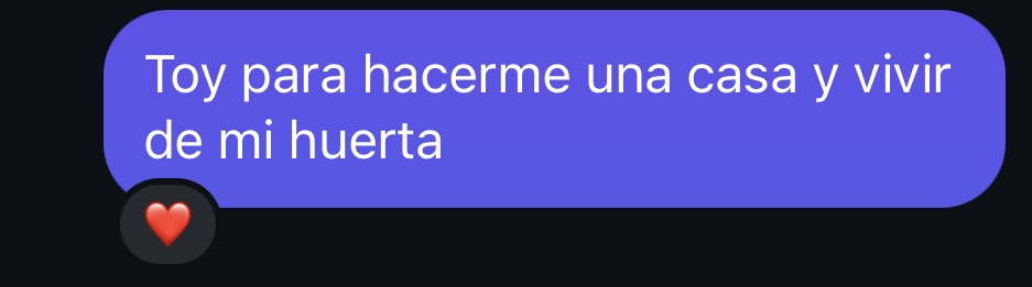 Mati Tucci tweet media