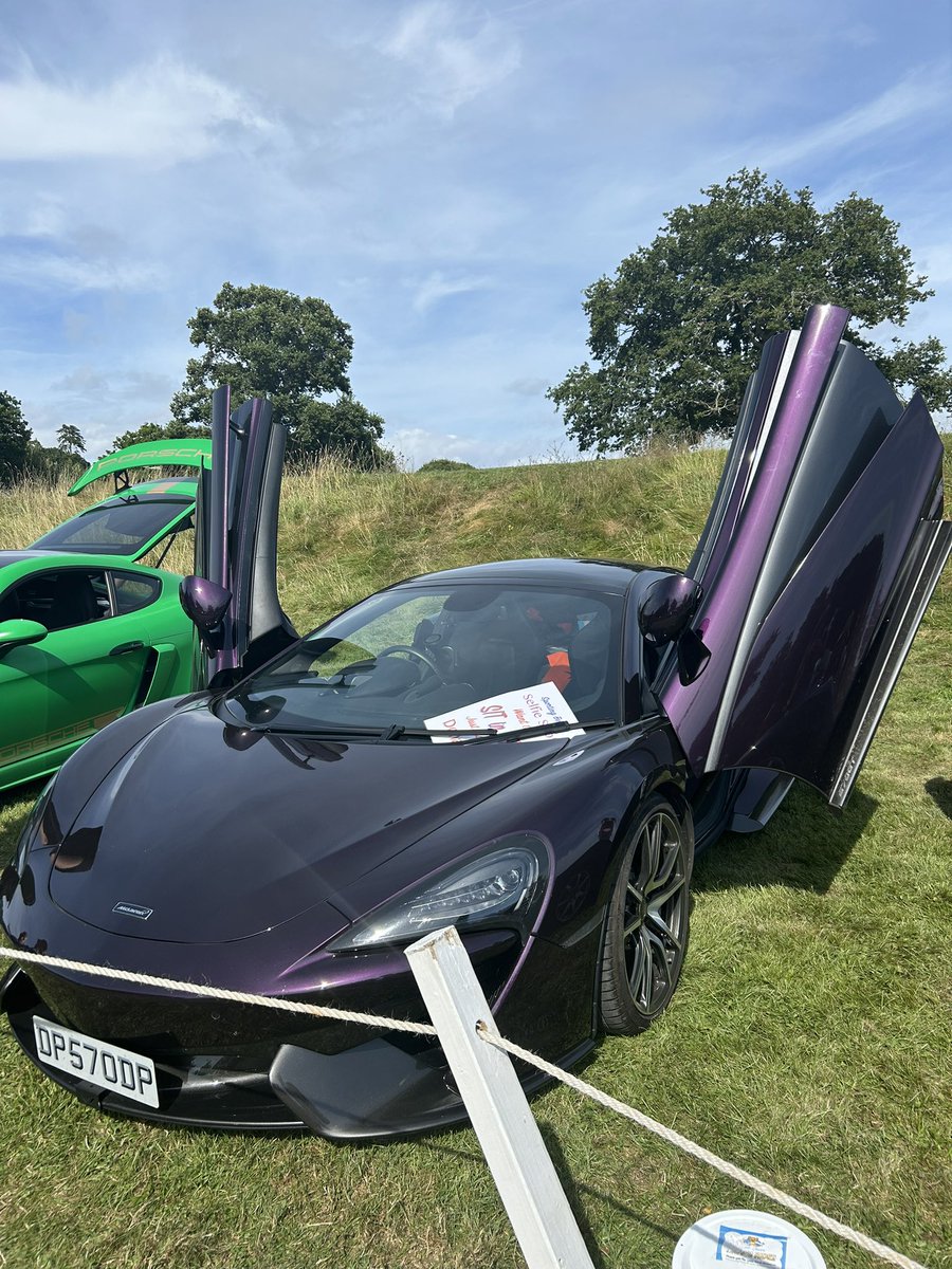 Mandy_Spring's tweet image. #Beaulieu #Supercars event on Sunday. I wonder what the collective value of all the cars there was?