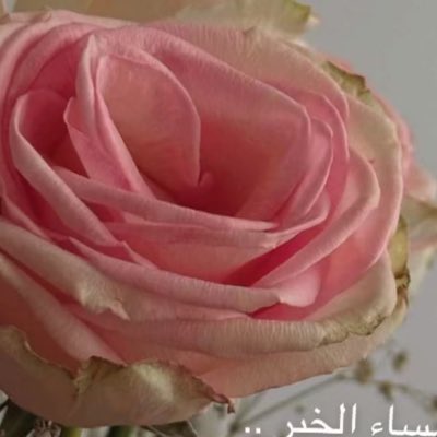 saa38108235's tweet photo. #صورة_جديدة_للملف_الشخصي https://t.co/HzgaXgmIBG