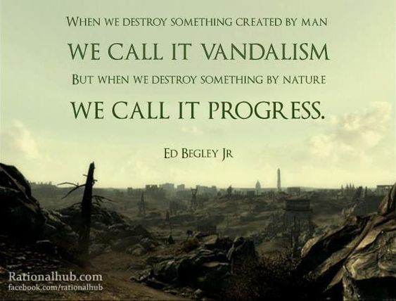 AnnaKavanaugh's tweet image. It is critical we elect leaders who understand and prioritize the urgency of our #ClimateCrisis. We have no time for lethargy. We need bold and globally decisive action. Future generations look to inherit from us a habitable Earth that can sustain them. 🌎#VoteEarth #Environment