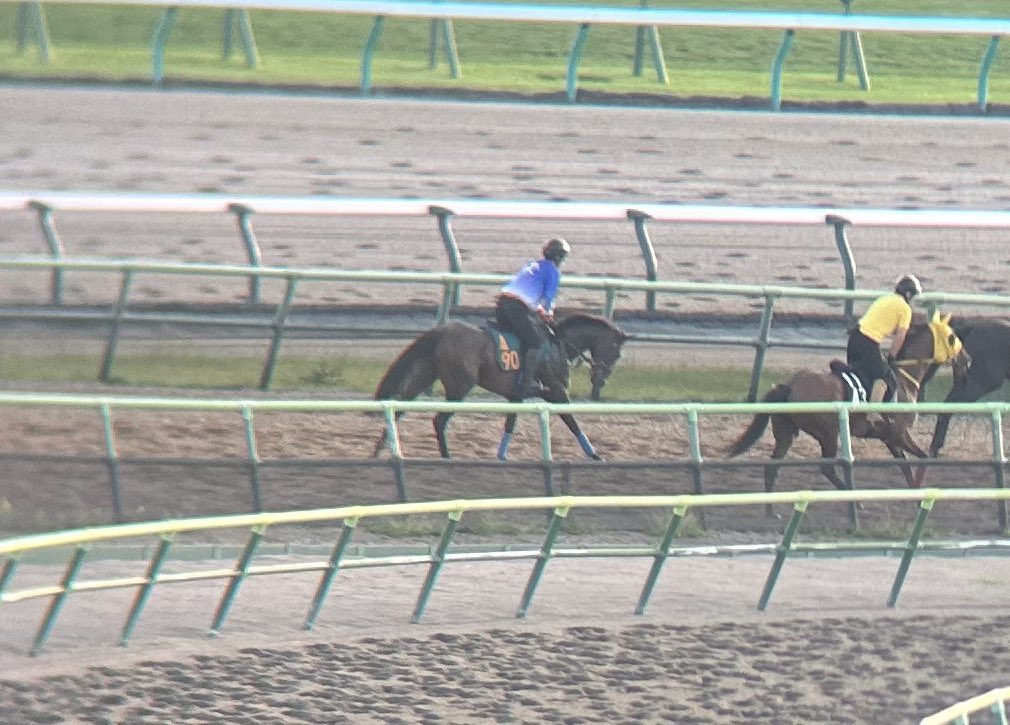 kizukuhironaka's tweet photo. 尾関厩舎の490番ラルガメンテ(牝馬)
父ドゥラメンテ母メジロツボネ
兄に香港ヴァーズ2勝のグローリーヴェイズ
#日刊競馬POG https://t.co/zjvifKgndP