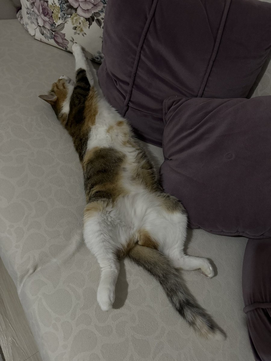 Annim hanmefendilr böle yatmaz tobarla kendni dedi doru mu bu