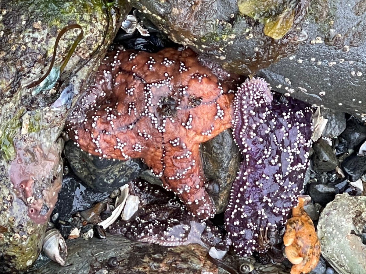 UOG Sea Grant tweet media