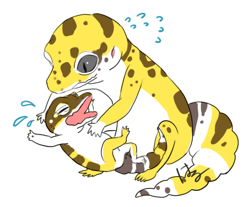 てんてこまい