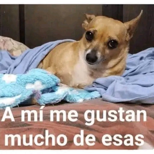 Angelo Martínez tweet media