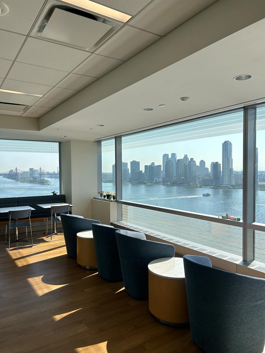 RachaelYu23's tweet image. Had a great time at New York University presenting my work to the team at the NYU Alzheimer’s Disease Research Centre - with a stunning view🏙️🗽