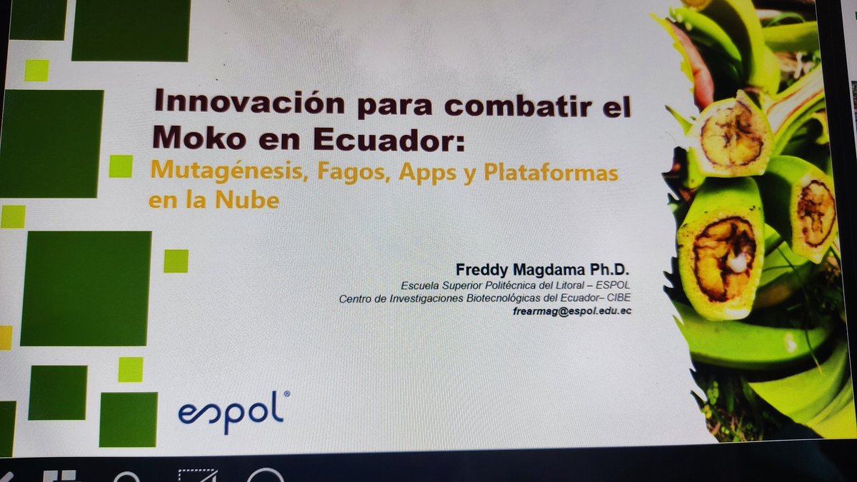Frearmag3's tweet image. Listos para nuestro evento de mañana "Expo virtual @espol - Unidos contra el Moko". No te pierdas de este evento técnico, conoce nuestra investigación y capacitate GRATIS. Te esperamos mañana a las 10 am, conectate aquí youtube.com/live/C3-tdZ4_w…