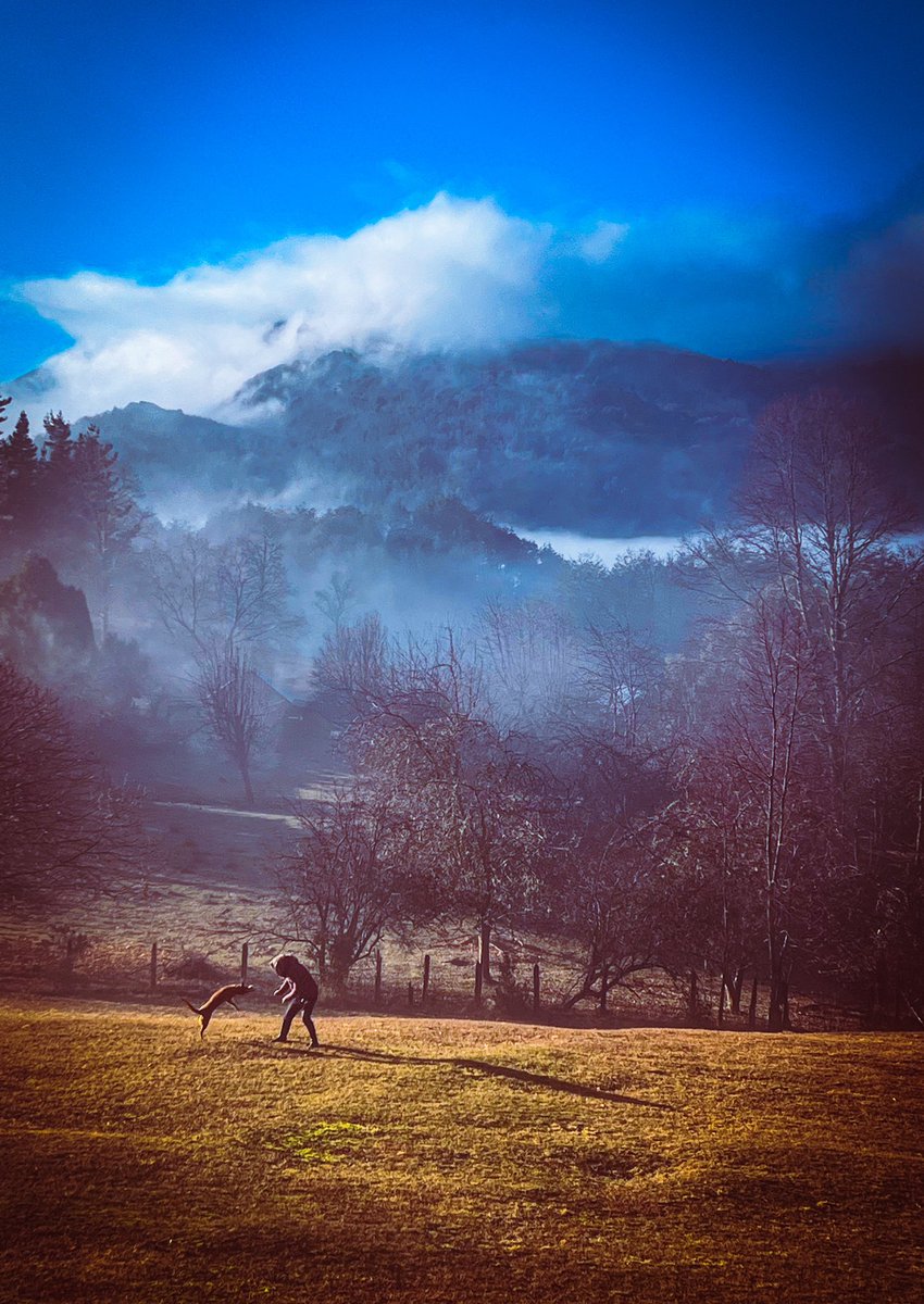 StrudelChucao's tweet photo. Postales luego de la lluvia, en un hermoso lugar llamado Murmullo de Arroyos #Pucon #Huife #Chile #photography #Photo_Folio #landscape #dog https://t.co/noRiwSFJq8