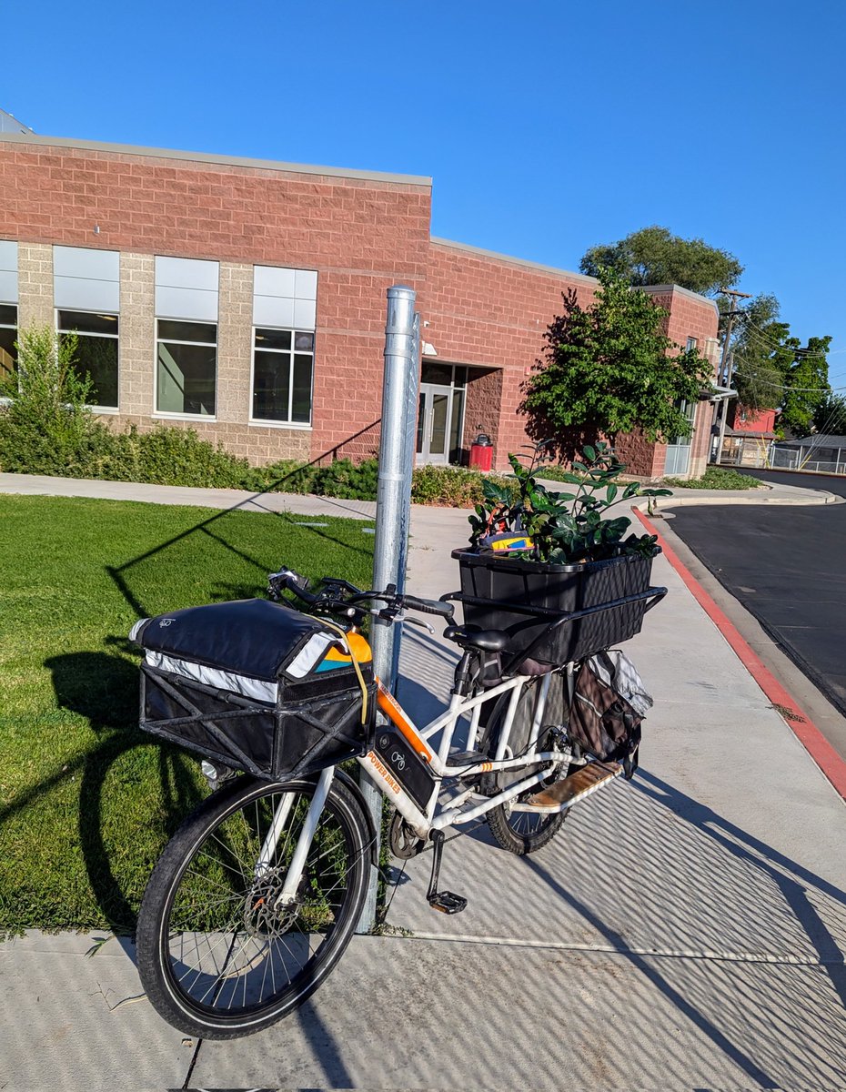mary_teaching's tweet photo. Back to school-mobile hauled 6 plants, &amp; of course, a whole lot of books. Tenth year of teaching, here we go! https://t.co/StAsjOIZDt