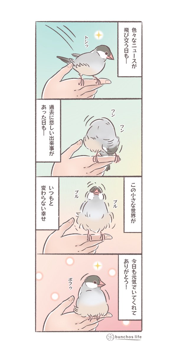 今日は8月6日、そして世の中は何かと激動な様子ですが心の平穏を保つために身近な小さな幸せを噛み締めようと思いますッ
#文鳥 
#4コマ漫画 