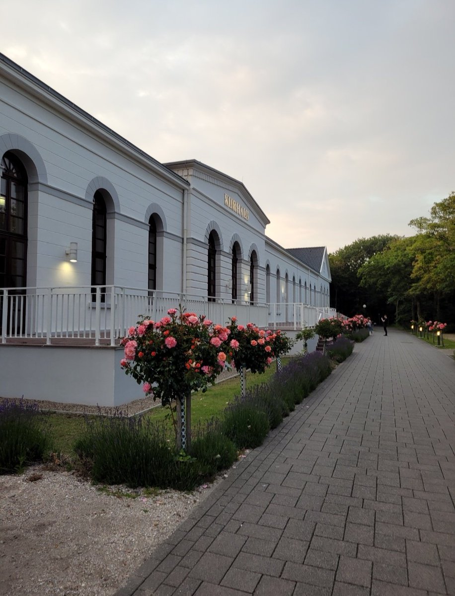 Vee🍉 is writing🥀 tweet media