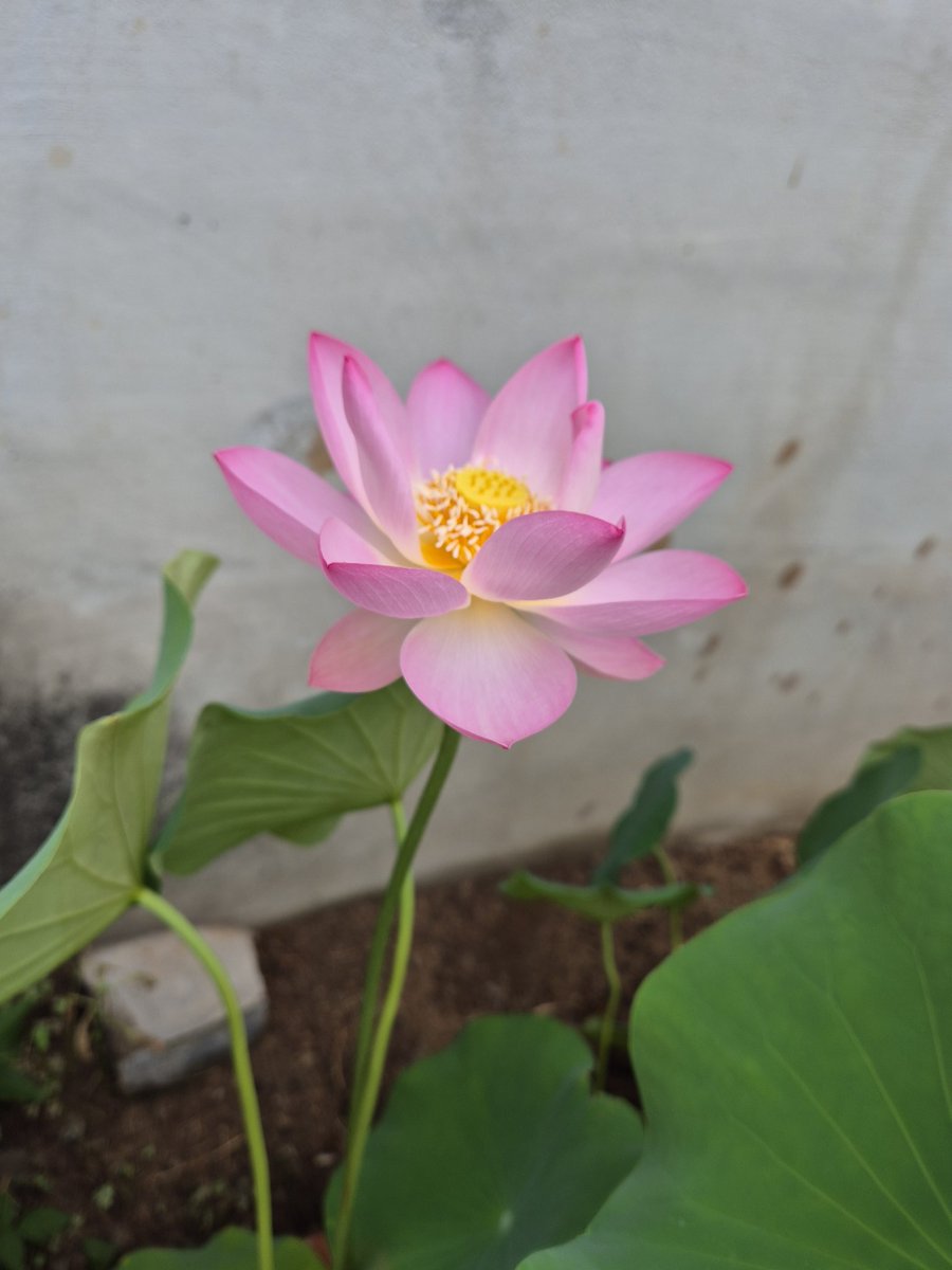 즐거운 시간 되세요