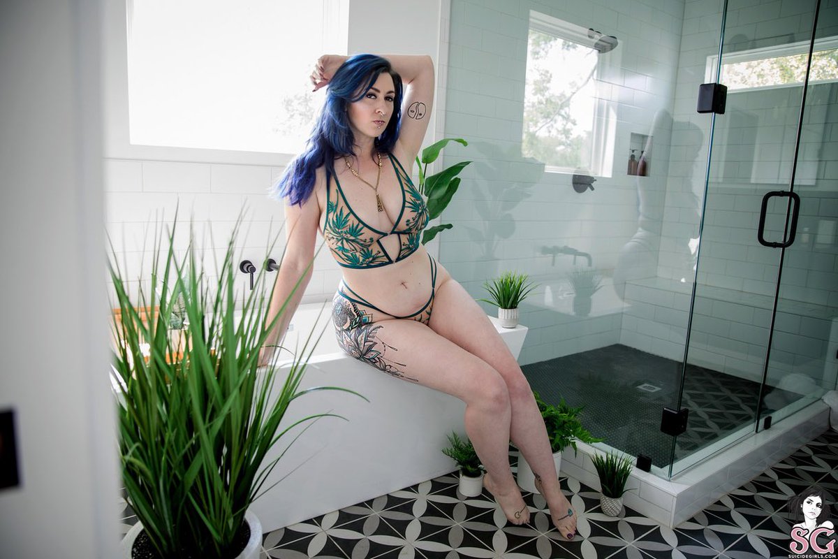 SGCurves tweet media