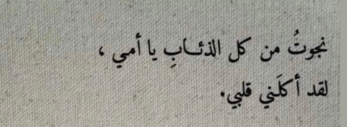 سبيكة بنت محمد الشحي (@sabeekaalshehi) on Twitter photo 