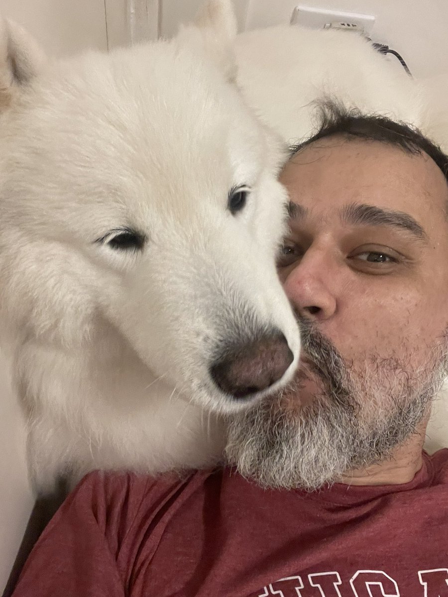 Bruno Gunter tweet media