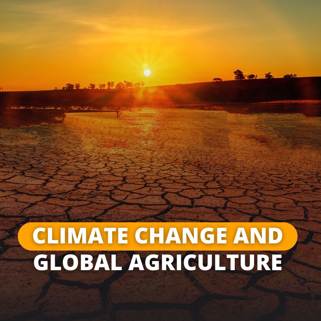 farmfolio's tweet photo. With climate change altering global conditions, regions with stable climates like Colombia are emerging as agricultural powerhouses. 

#GlobalAgriculture #SustainableFarming #ColombianAgriculture #ClimateChangeAdaptation https://t.co/0825Rwtugk
