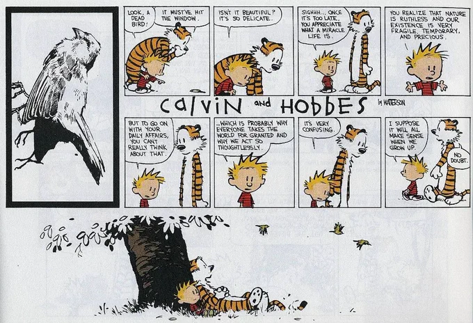 Image from foxtrot (@foxtrot_______)