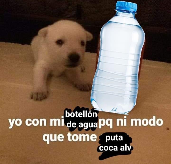 yo qué sé tweet media