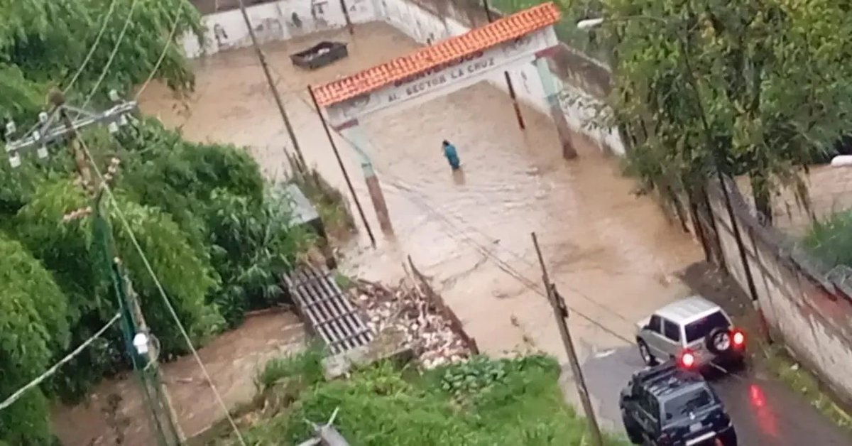 diariolachayota's tweet photo. #5Ag - 6:30 pm 🚨Sector La Cruz en Los Teques 🚨
👉🏻Las fuertes lluvias de este lunes arrastraron gran cantidad de basura lo que ocasionó que la quebrada del sector La Cruz y Quebrada de la Virgen se desbordara y su nivel subiera a una altura elevada. https://t.co/CszRw09qZb https://t.co/W8A4NJFrCS