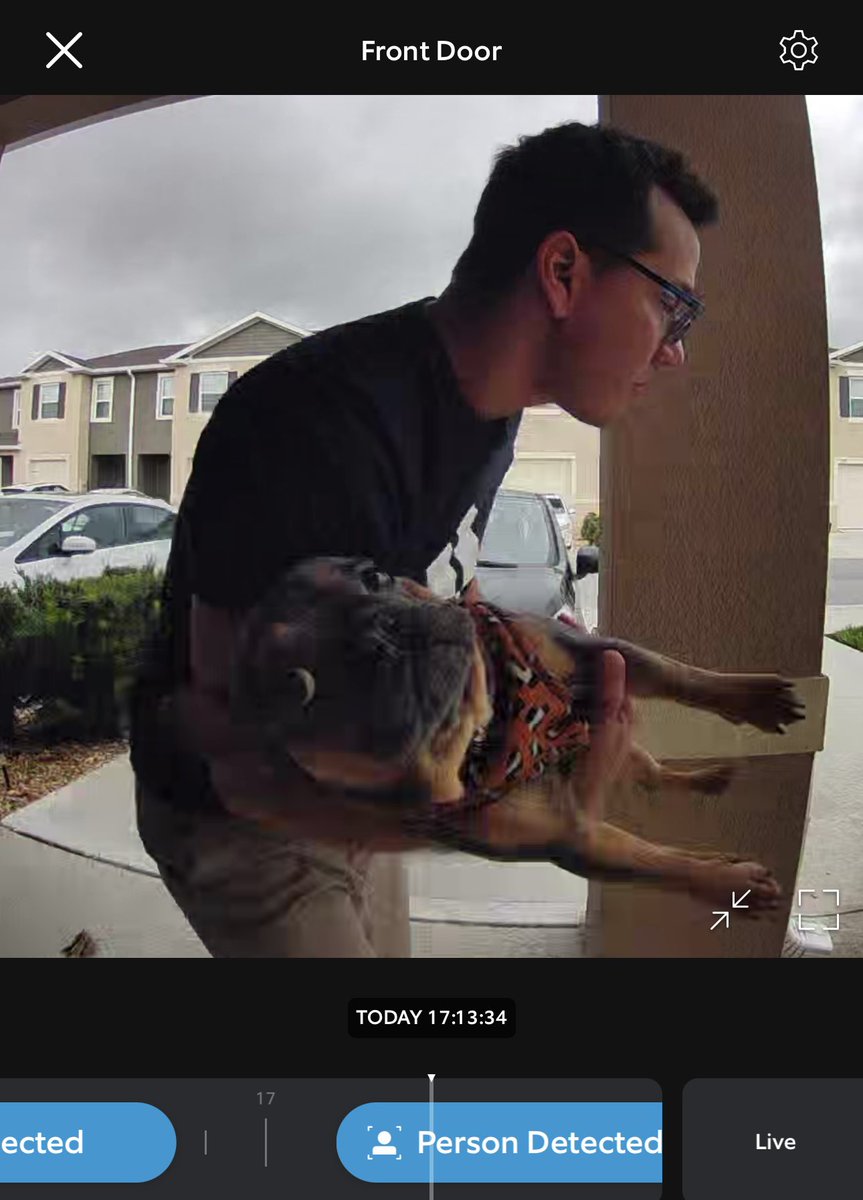 _emilymacri's tweet photo. My ring went off and I saw there was a dog outside of my door who was very over his walk and wanted to go home. I opened the app and his owner had to scoop him and this was all I saw 😂 https://t.co/y58OHGk4qG
