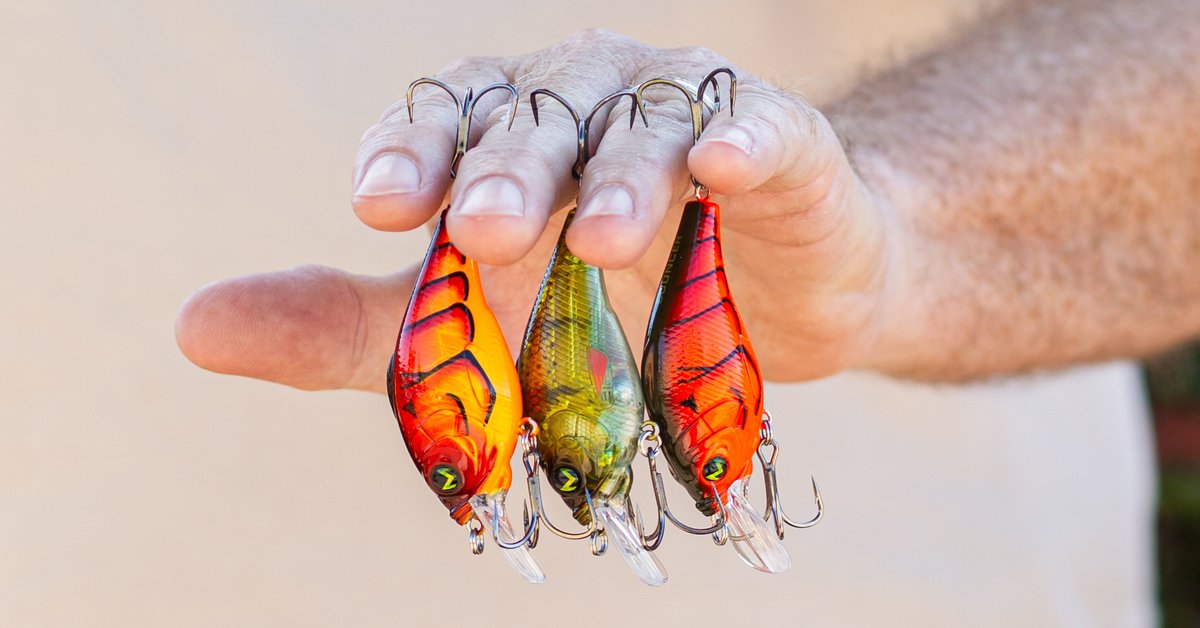 TackleWarehouse's tweet photo. 🔥DAILY SPECIAL🔥

Shop Now 👉 https://t.co/tTN6Fb8axt

Up To 45% Off Mach Baits Bouncer Crankbait
Now: $8.22 - $11.24 | Save: $6.77 - $3.75 | Up To 45% Off

#TackleWarehouse #TWdailySpecial #BassFishing #Fishing | #MACHNation https://t.co/aLb3sfUWIH