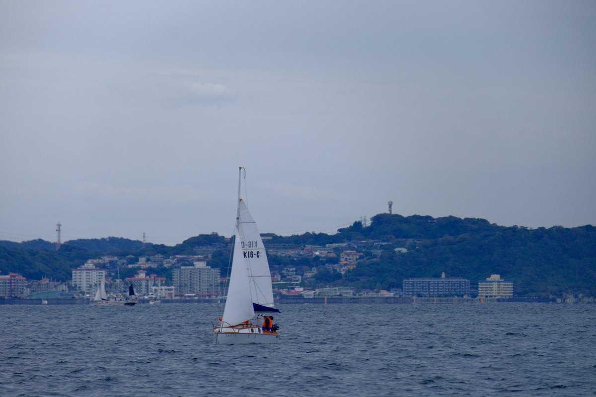 k16class's tweet photo. We’re enjoying a sailing with K16 class and international 14 at Enoshima Japan.
#sailingship #sailinglife #instasailing #sailingboat #sailboat #sailinglovers #dinghy #ディンギー #sailinggear #k16class #international14 #sailingphotographer #セーリング https://t.co/mpOTCnX0ao