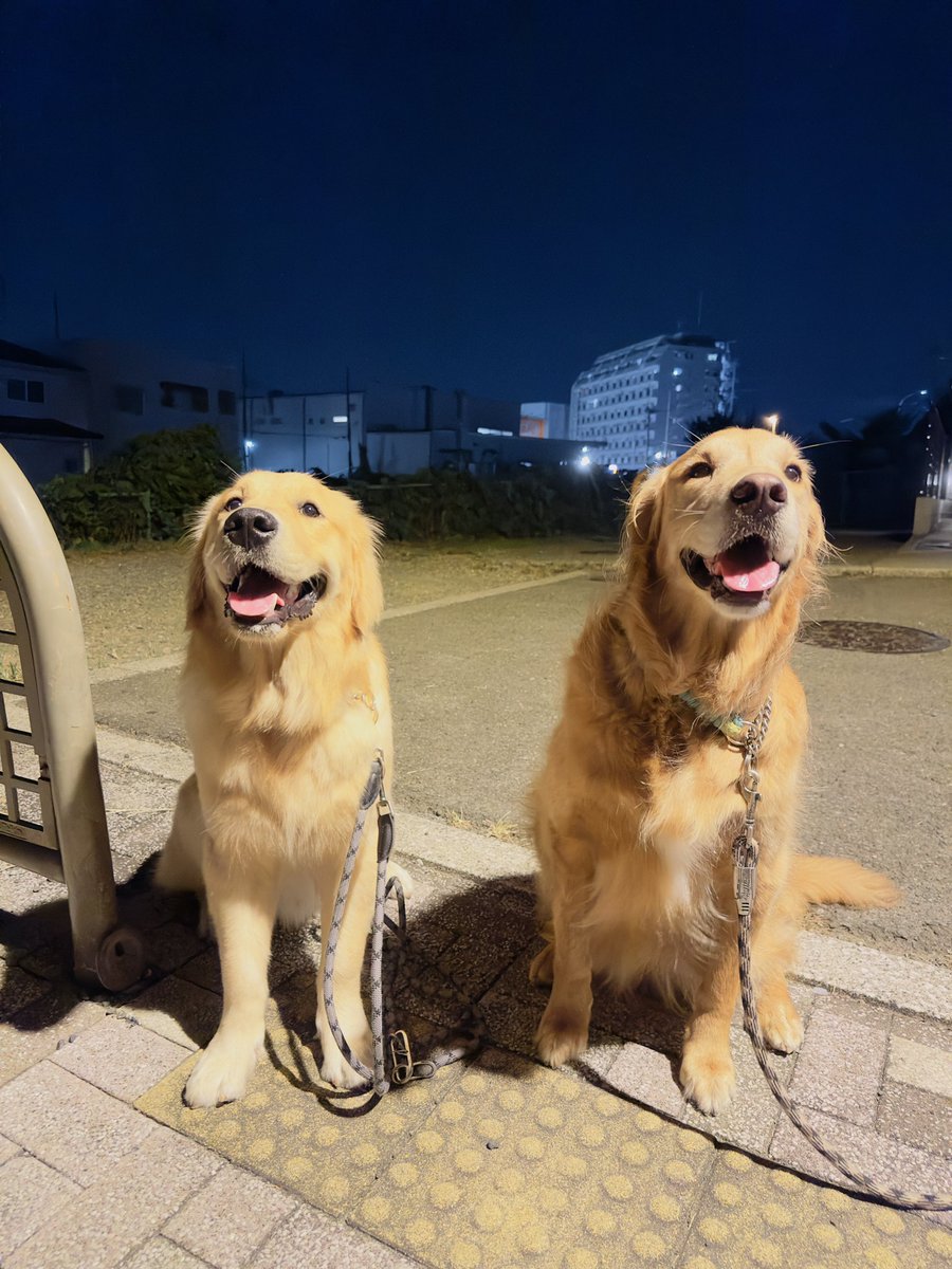 無言でおひとつ添えさせてもらいます。