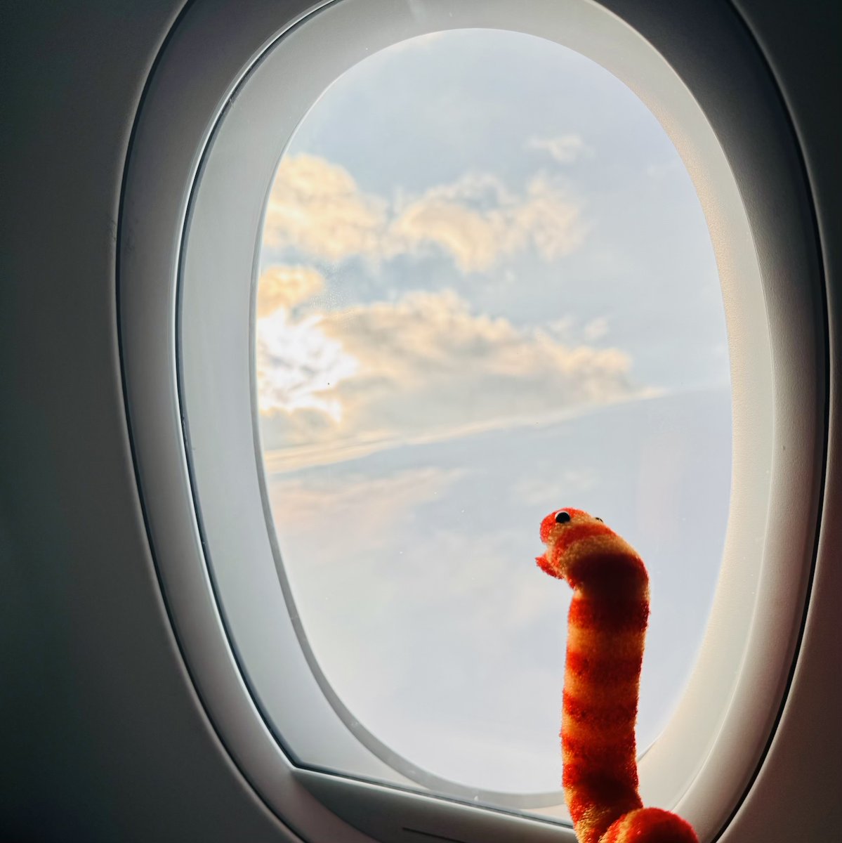 Slimey may have been to space, but the view still takes his breath away! #ParisOlympics #SlimeyInParis