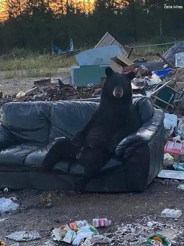 J.D. Vance and RFK Jr. walked into a bar...