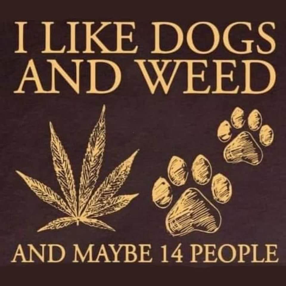 Definitely less than 14 lol