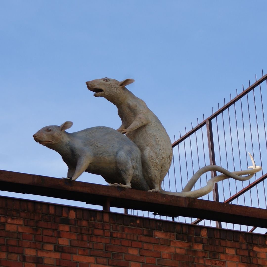 streetart_cz's tweet image. “Revolution Evolution” by Kryštof Hošek 
📸 04.08.2024.
📍 Říčany u Prahy, Masarykovo nám. 32
#krystofhosek #revolutionevolution #streetartczechia #streetart #rats