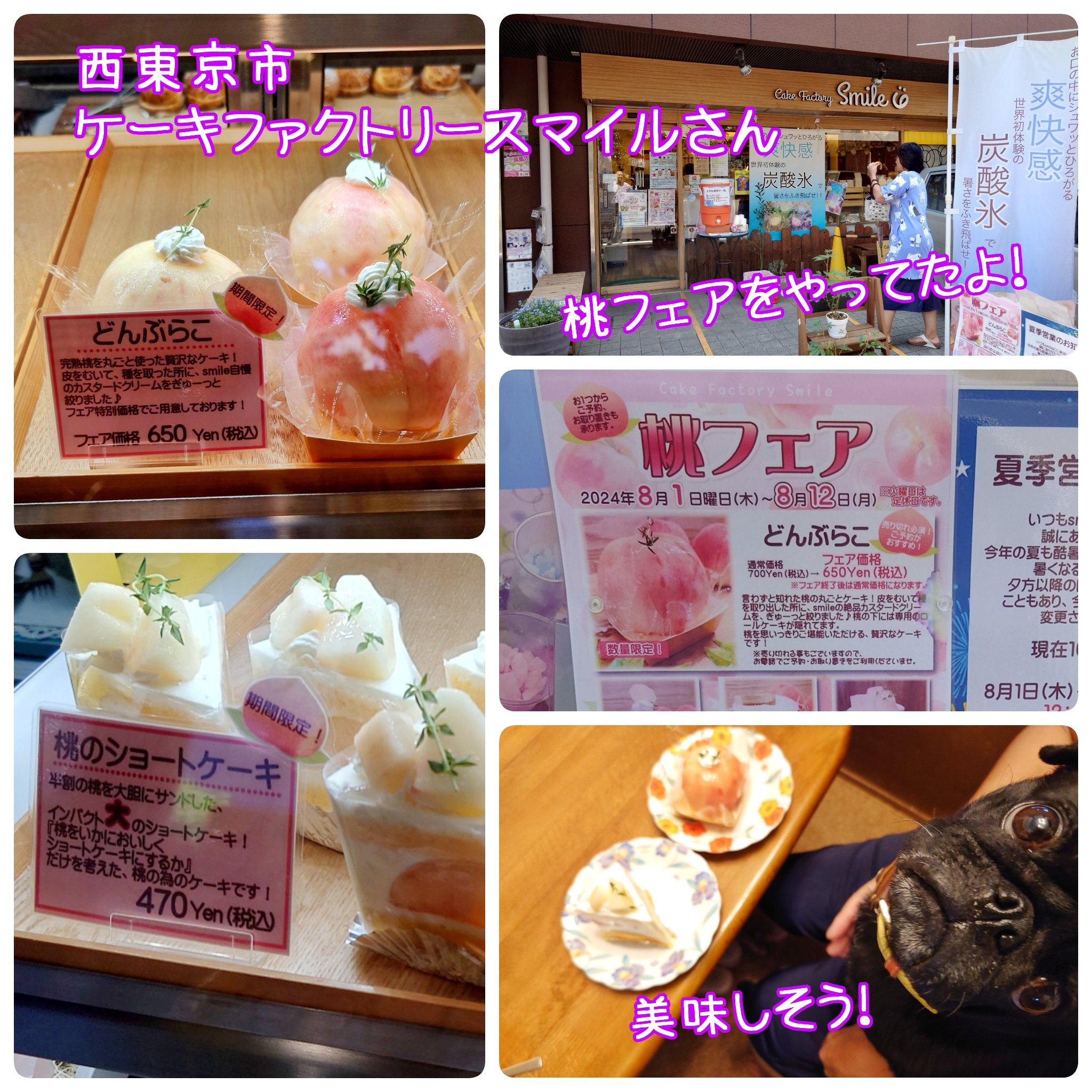 Smile☆さん専用 フラッシュマグネットパウダーまとめ売り② 【公式通販】