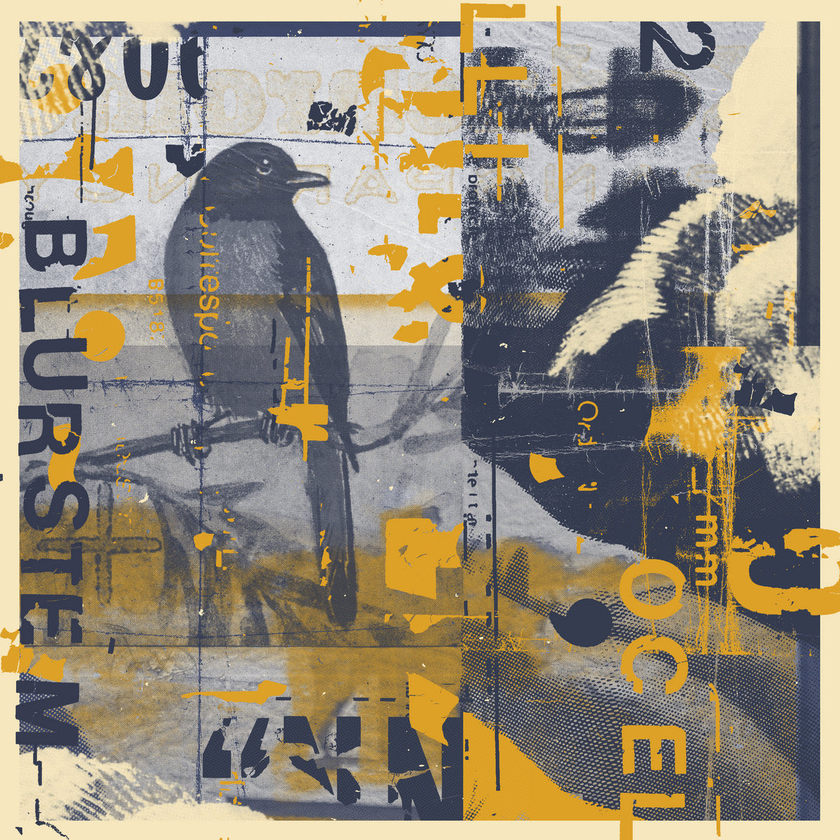 qhrizpolley's tweet image. Minnesota Monday: ‘Ocelli’ by @blurstem (via @westernvinyl) is an ebullient &amp;amp; transfixing ambient neo-classical listen. I often didn’t know whether the rain outside was part of the experience or not, w/ compositions that call you in, asking one to live and float inside of them.