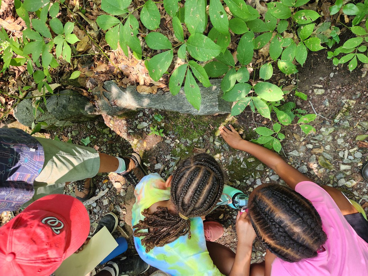 UrbanAdvSquad's tweet image. It's our "Planting Seeds of Action in Your Urban Ecosystem" week at @WashYouthGarden at the @fonarboretum. #SquadMembers went on a plant scavenger hunt in Fern Valley today to understand how native plants support our local ecosystem. 🌱

#ThisIsOutdoorLearning 
#CityAsAClassroom