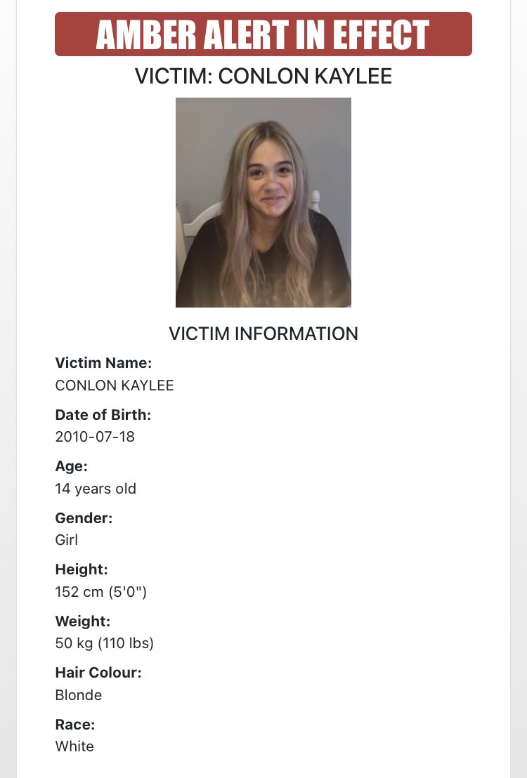 Muskoka411 News tweet media